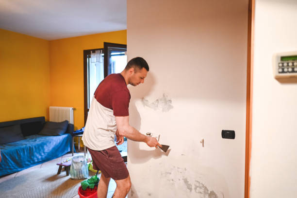 Best Mold Remediation  in Shortsville, NY